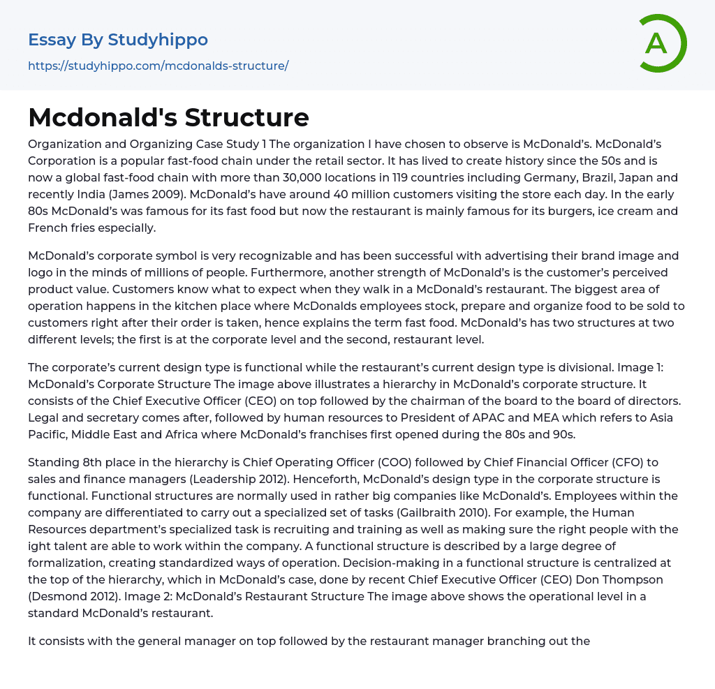 The Organization Chosen to Observe Is McDonald’s Essay Example