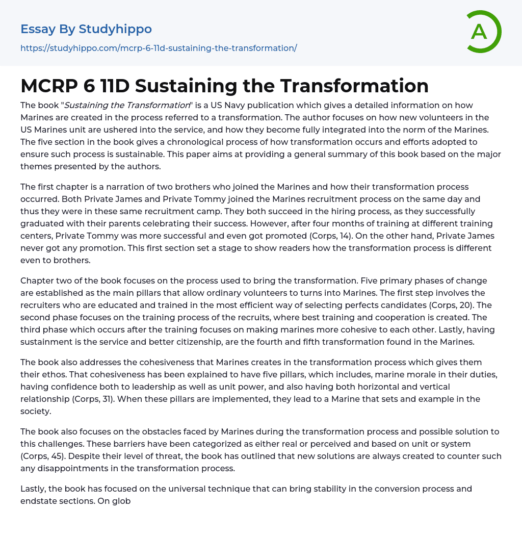 MCRP 6 11D Sustaining the Transformation Essay Example