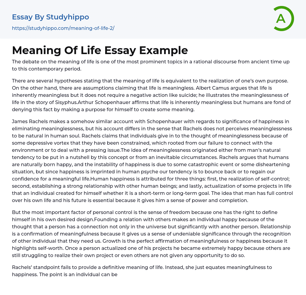 Meaning Of Life Essay Example