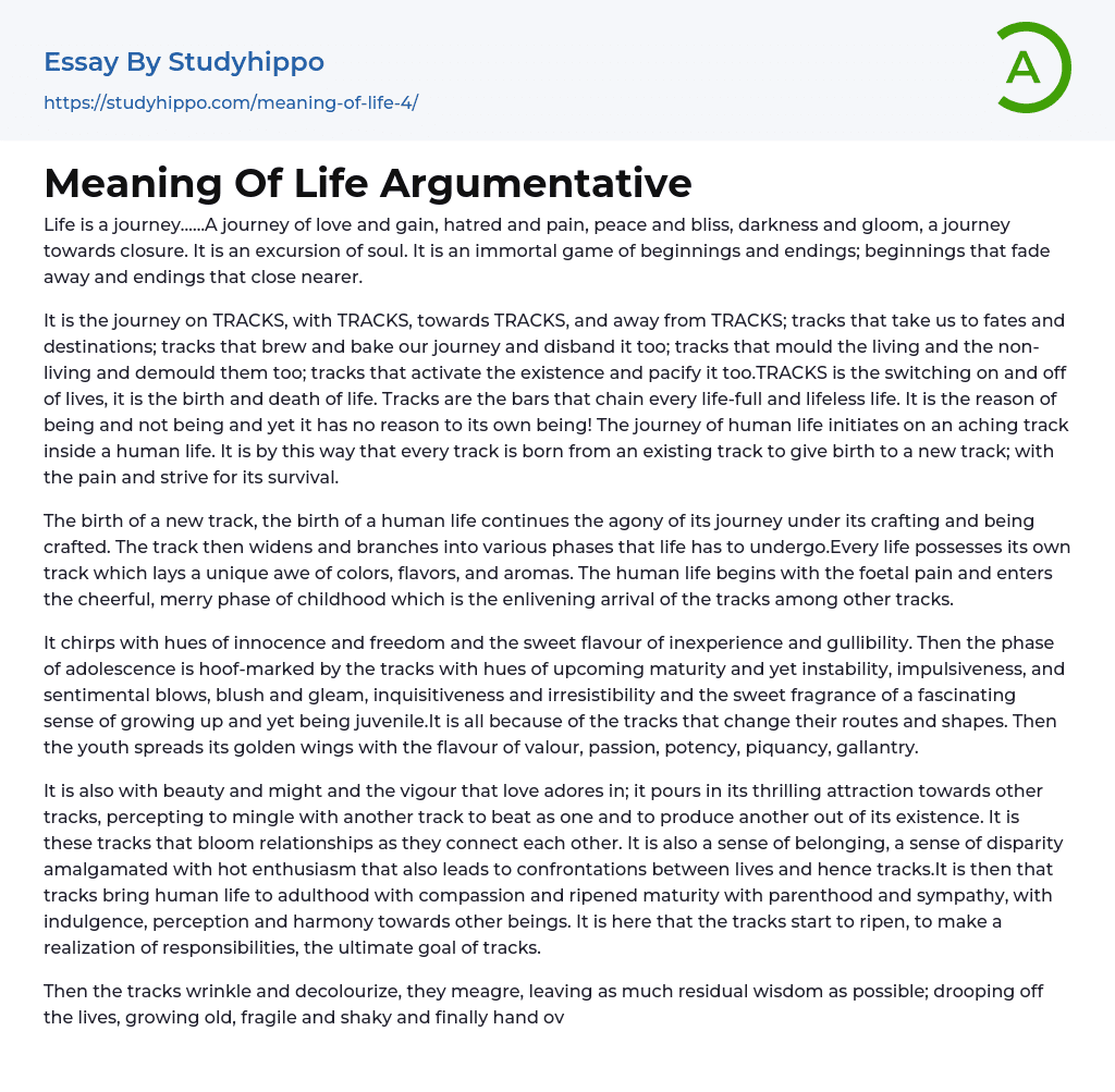 Meaning Of Life Argumentative Essay Example