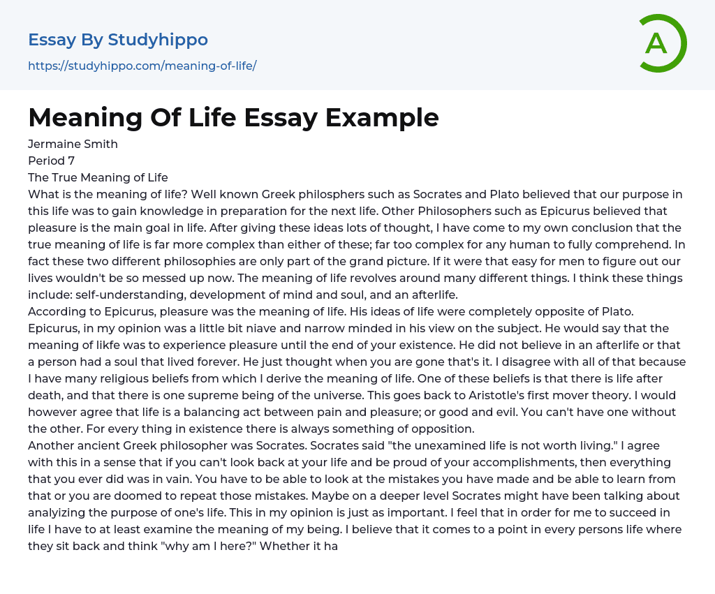 The True Meaning of Life Essay Example