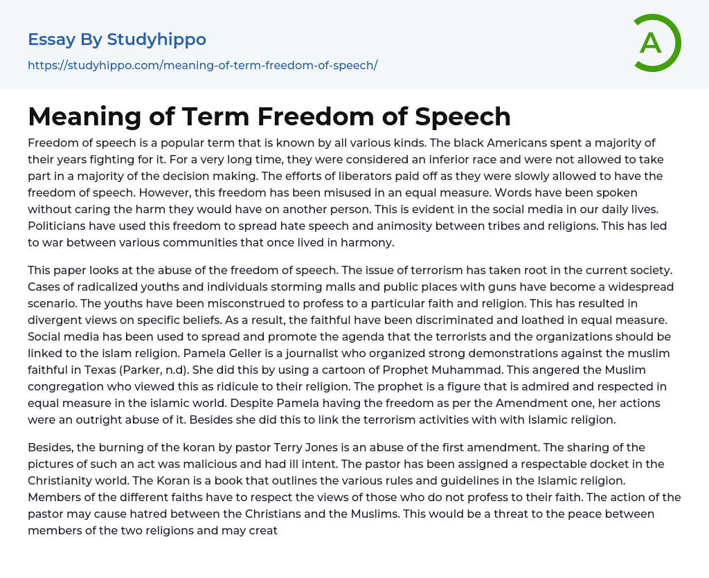 Meaning of Term Freedom of Speech Essay Example