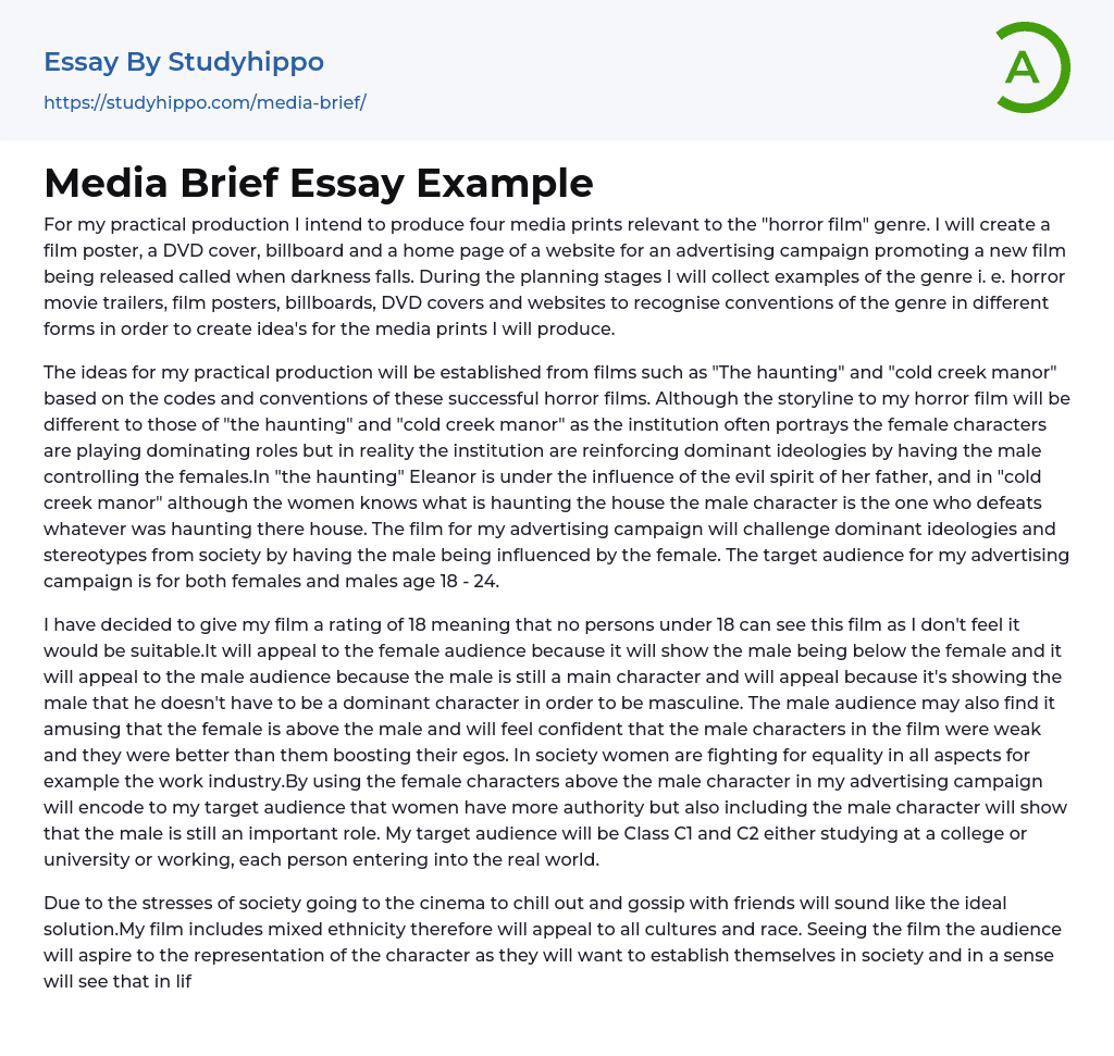 Media Brief Essay Example