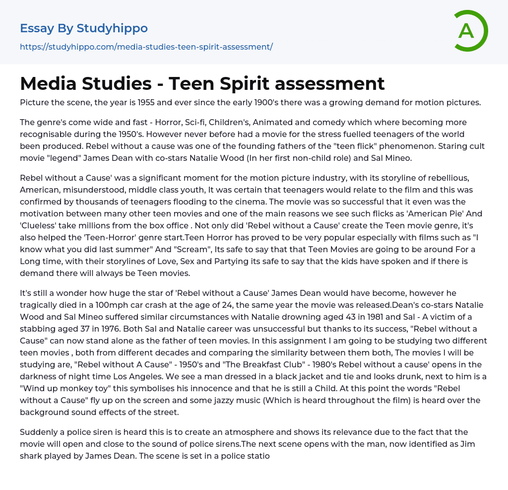 Media Studies – Teen Spirit assessment Essay Example