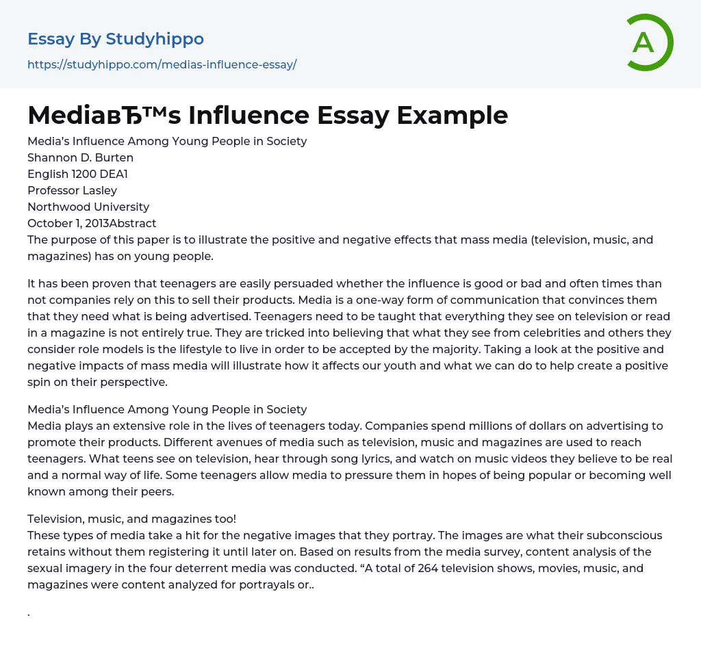 Effects That Mass Media Has on Young People Essay Example