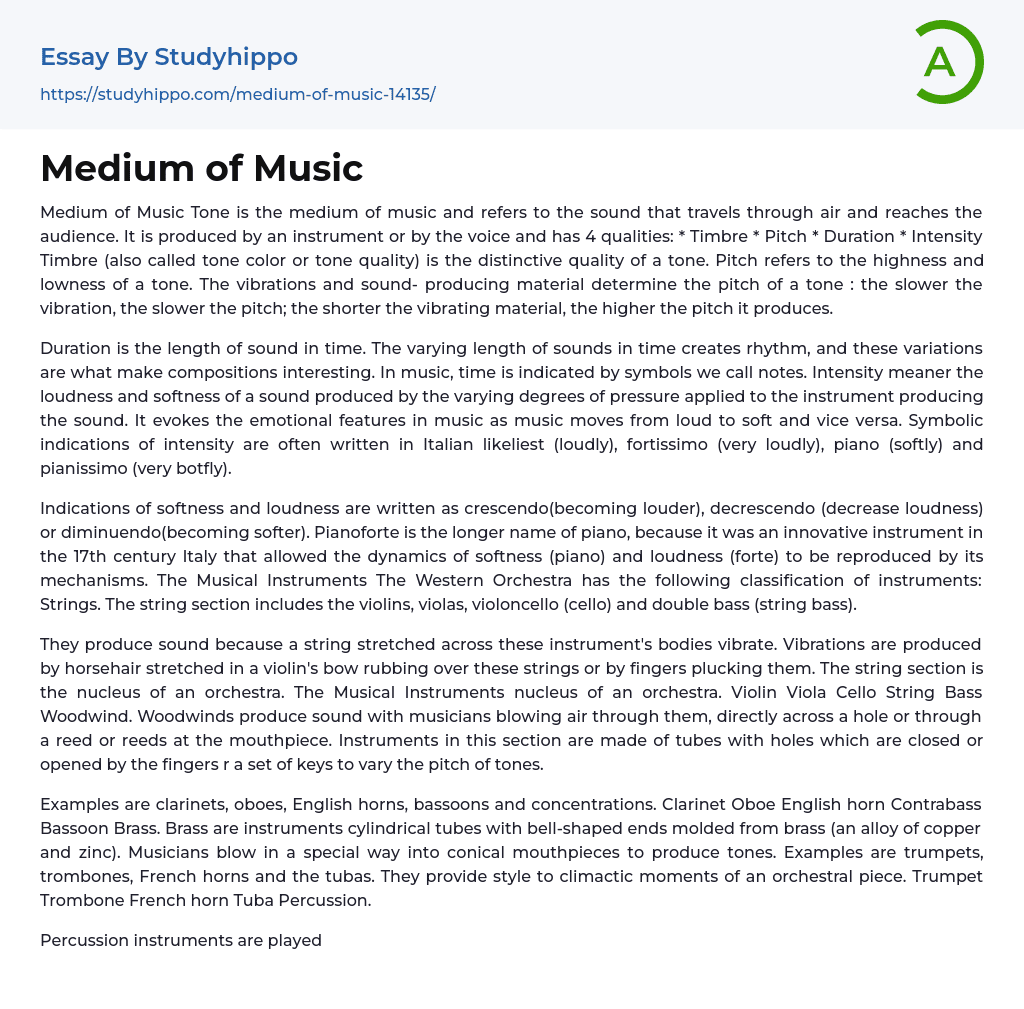 Medium of Music Essay Example