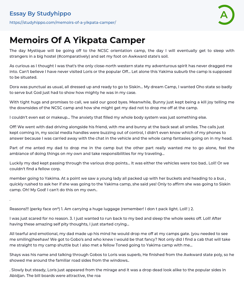 Memoirs Of A Yikpata Camper Essay Example
