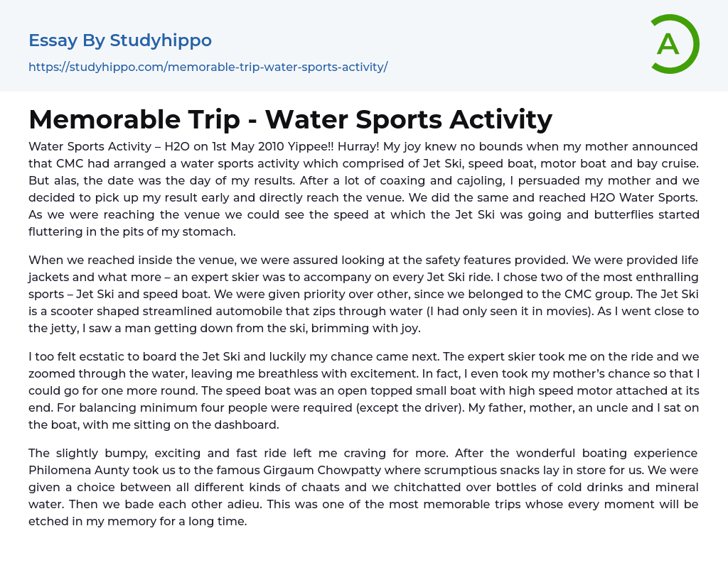 Memorable Trip – Water Sports Activity Essay Example