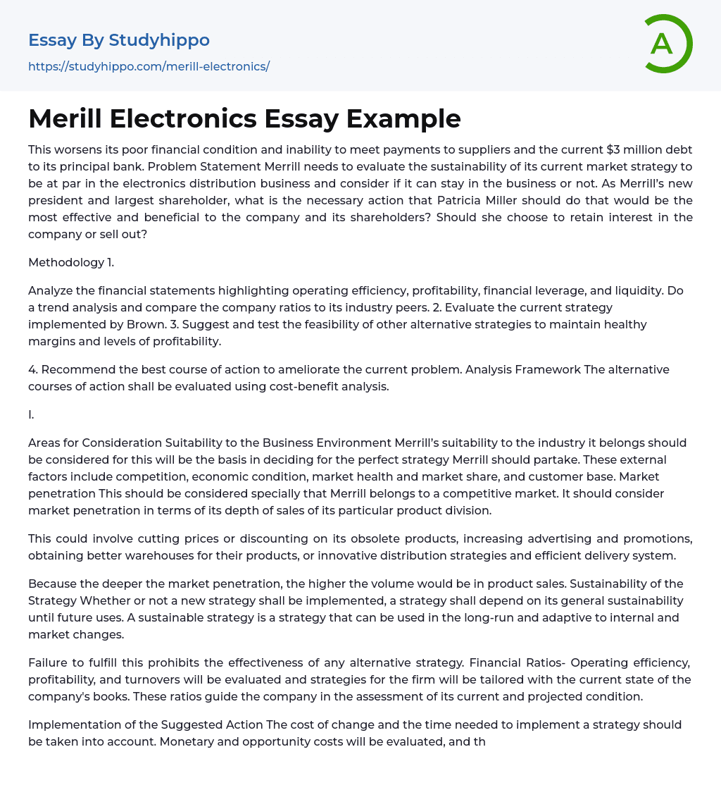 Merill Electronics Essay Example