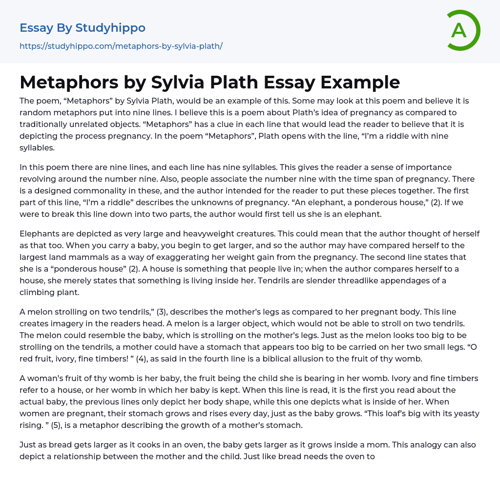 Metaphors by Sylvia Plath Essay Example