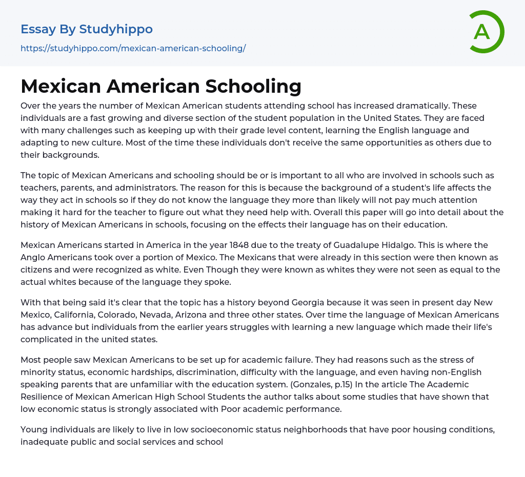 Mexican American Schooling Essay Example
