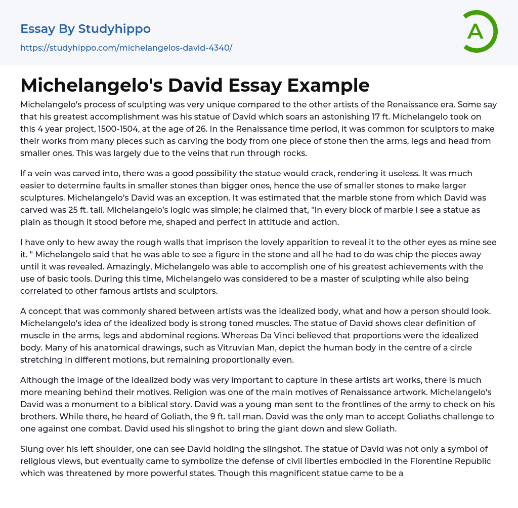 Michelangelo’s David Essay Example