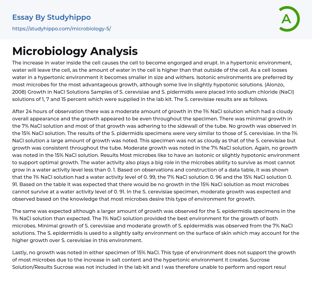 Microbiology Analysis Essay Example