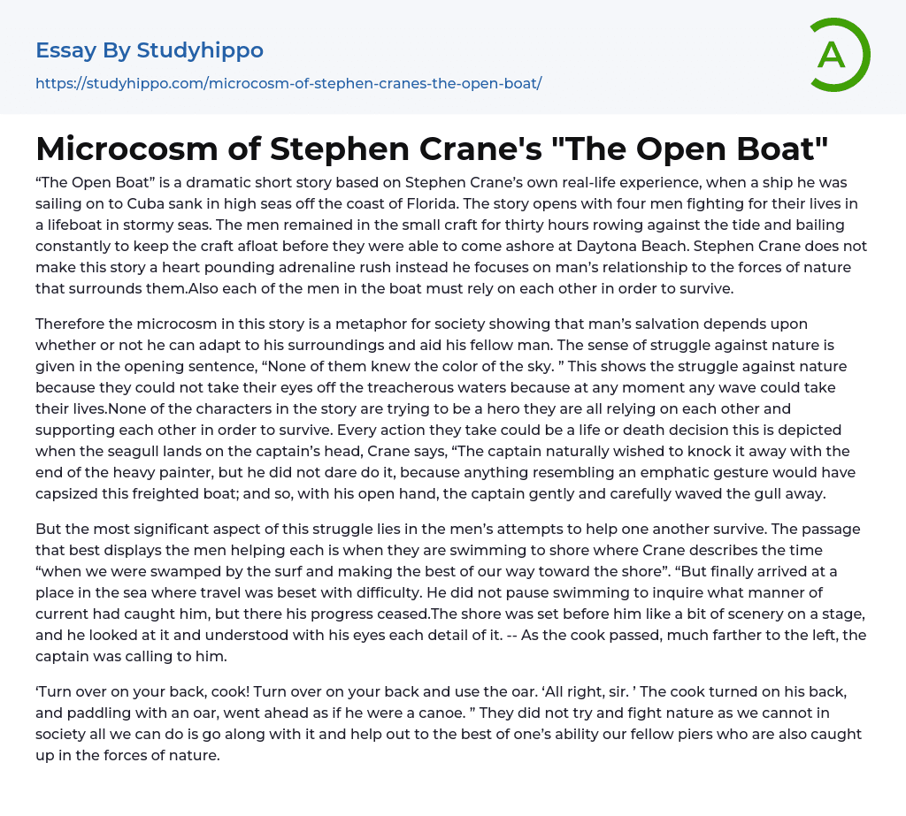 Microcosm of Stephen Crane’s “The Open Boat” Essay Example