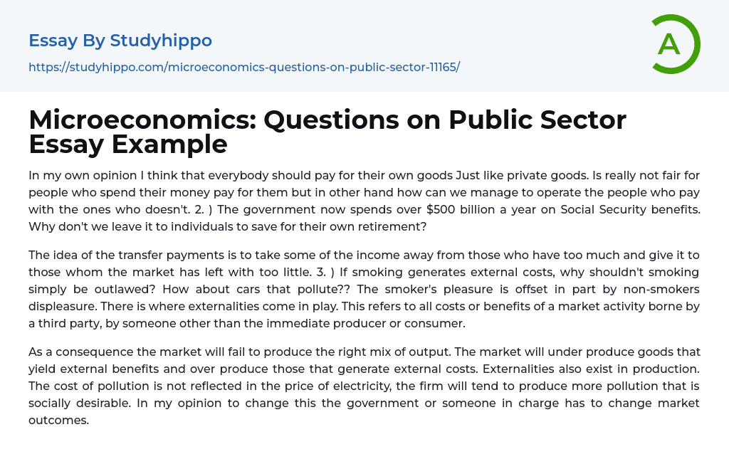 Microeconomics: Questions on Public Sector Essay Example