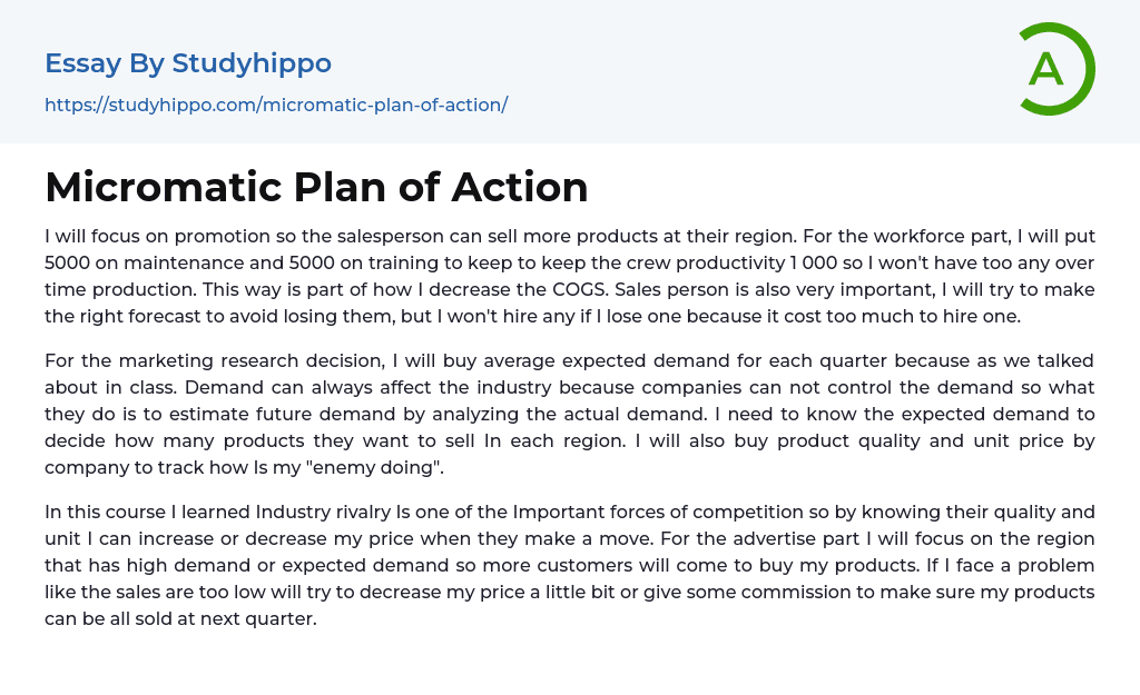 Micromatic Plan of Action Essay Example