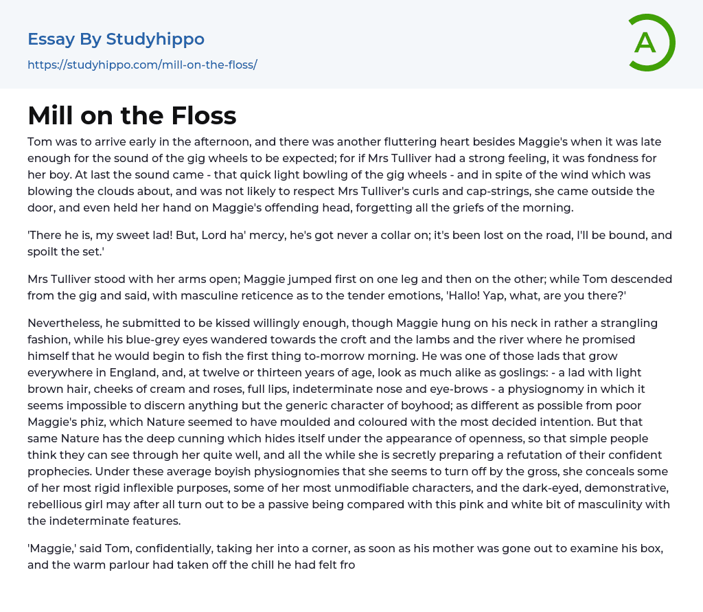Mill on the Floss Essay Example