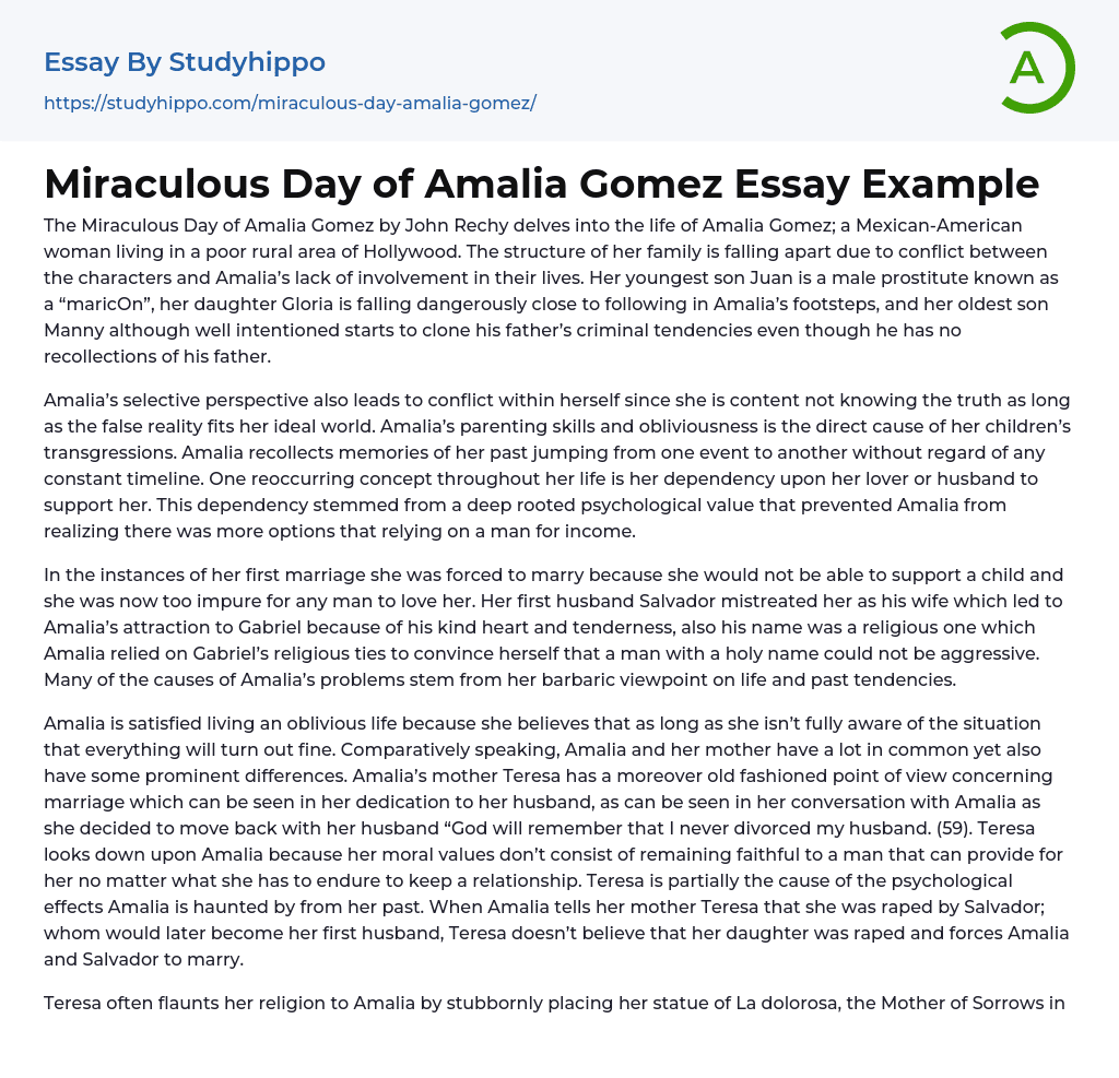 Miraculous Day of Amalia Gomez Essay Example