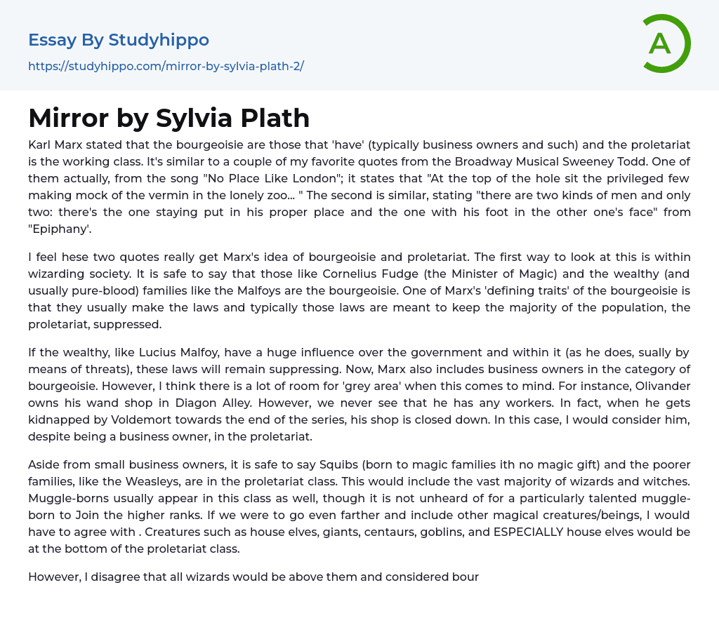 Mirror by Sylvia Plath Essay Example