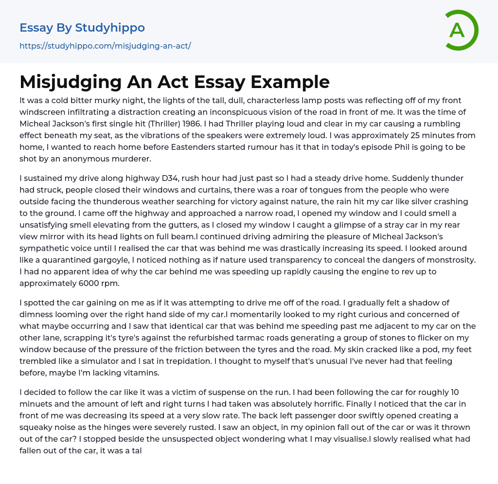 Misjudging An Act Essay Example