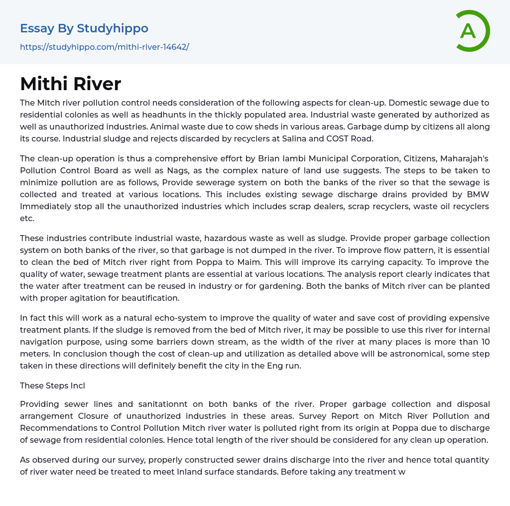 Mithi River Essay Example