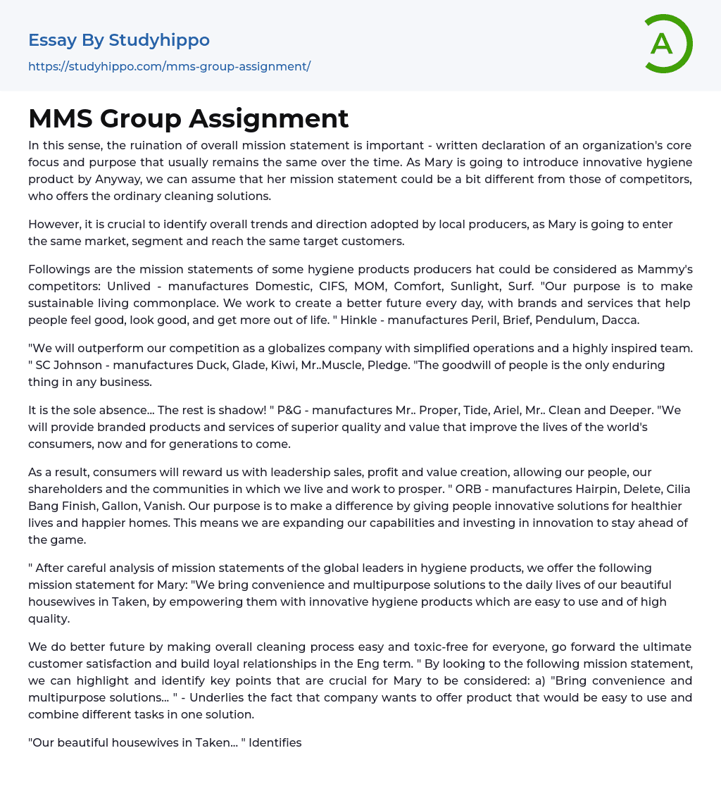 MMS Group Assignment Essay Example