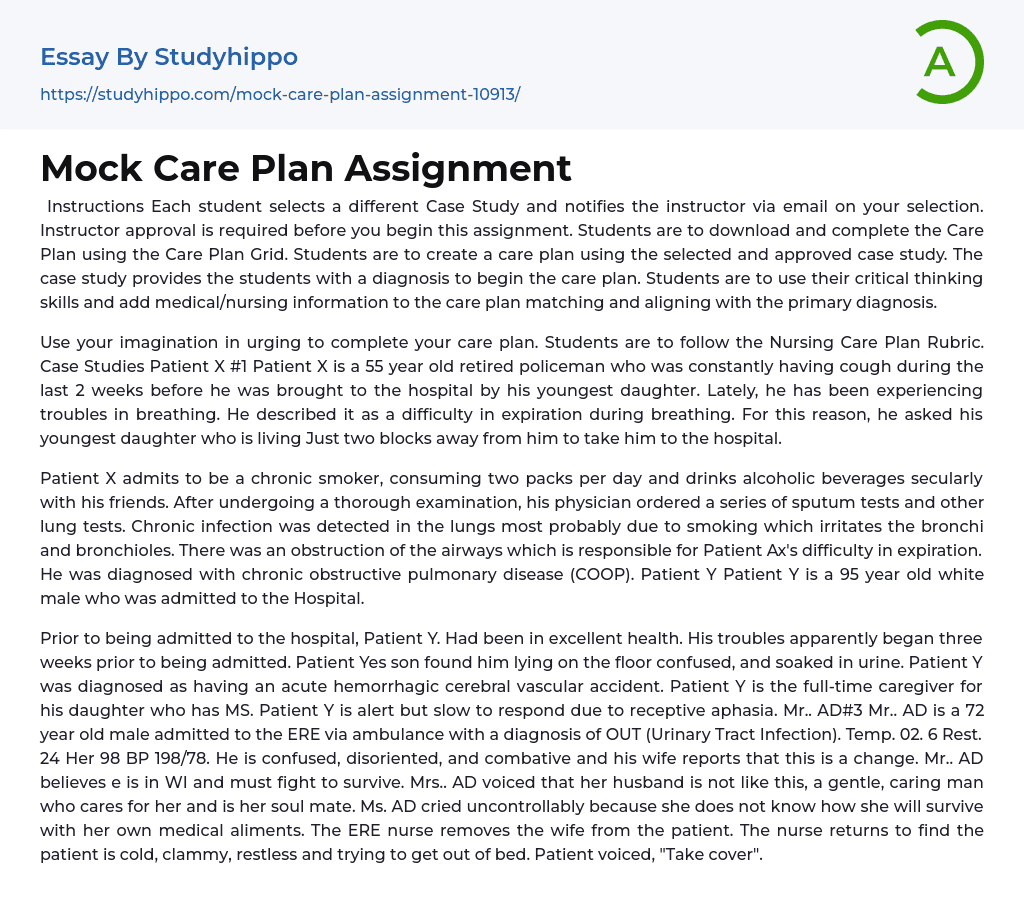 Mock Care Plan Assignment Essay Example