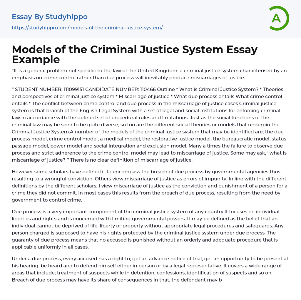 why is it important to study criminal justice essay