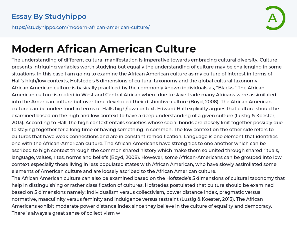 Modern African American Culture Essay Example