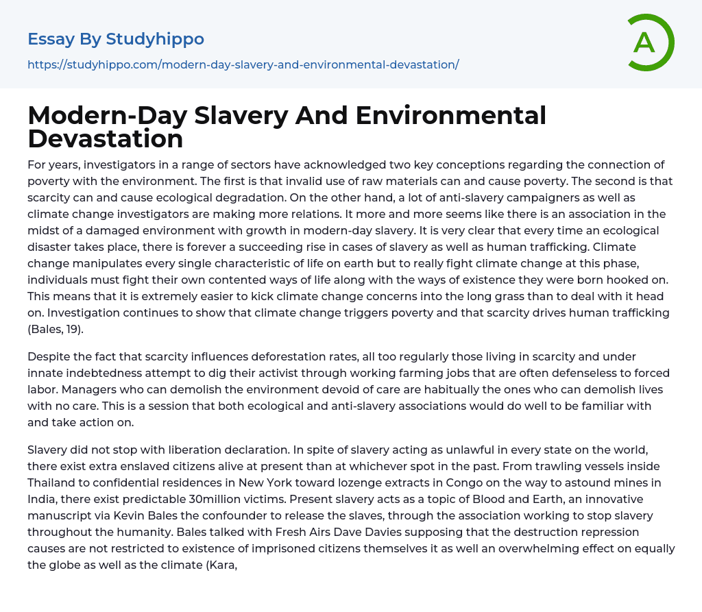 Modern-Day Slavery And Environmental Devastation Essay Example