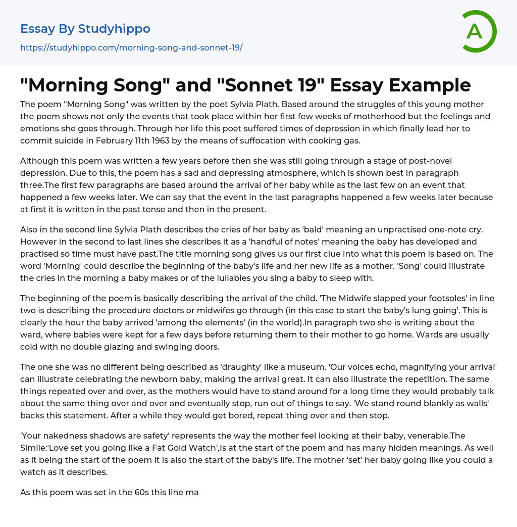 “Morning Song” and “Sonnet 19” Essay Example