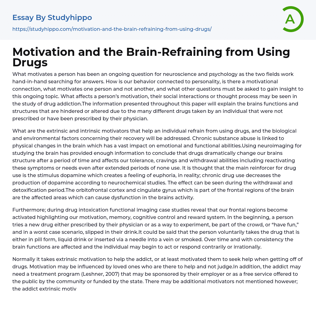 Motivation and the Brain-Refraining from Using Drugs Essay Example