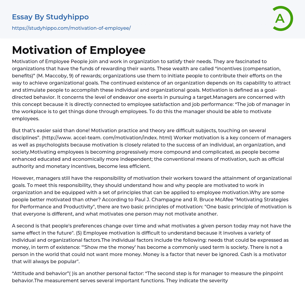 Motivation of Employee Essay Example