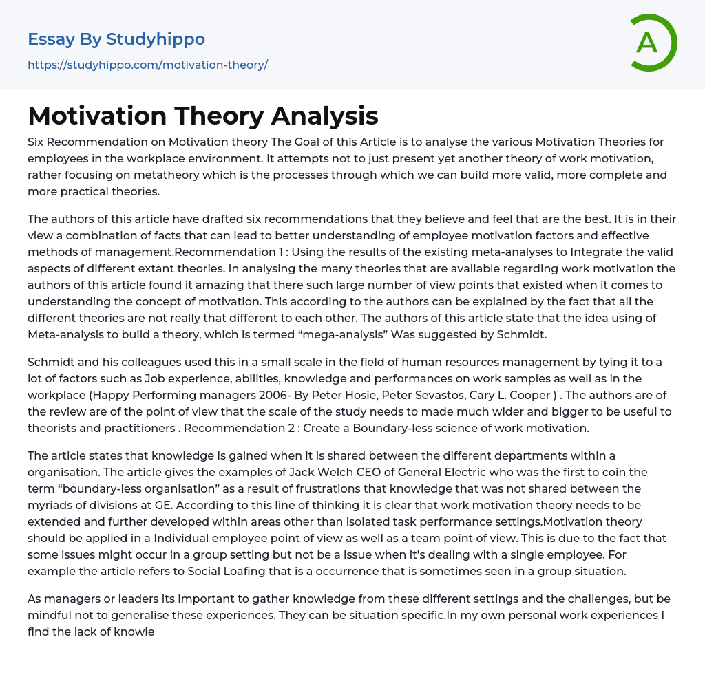 Motivation Theory Analysis Essay Example