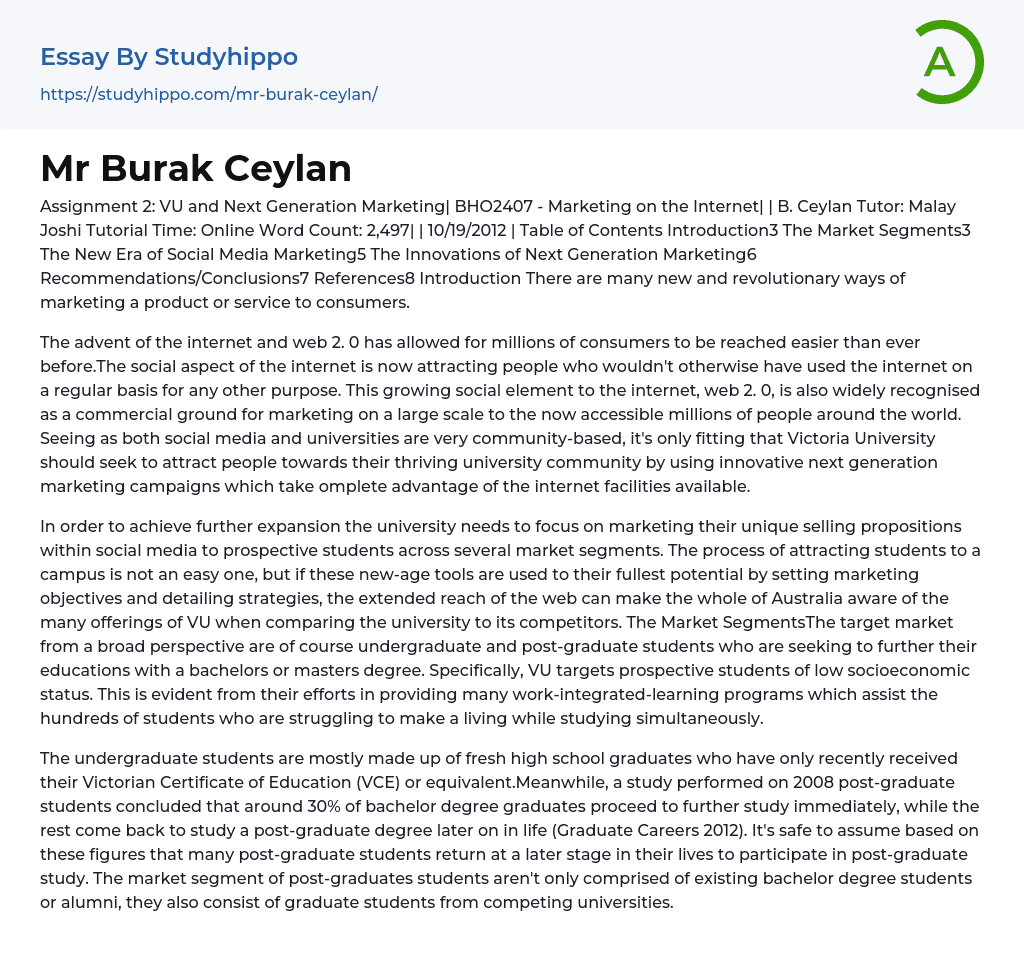 Mr Burak Ceylan Essay Example
