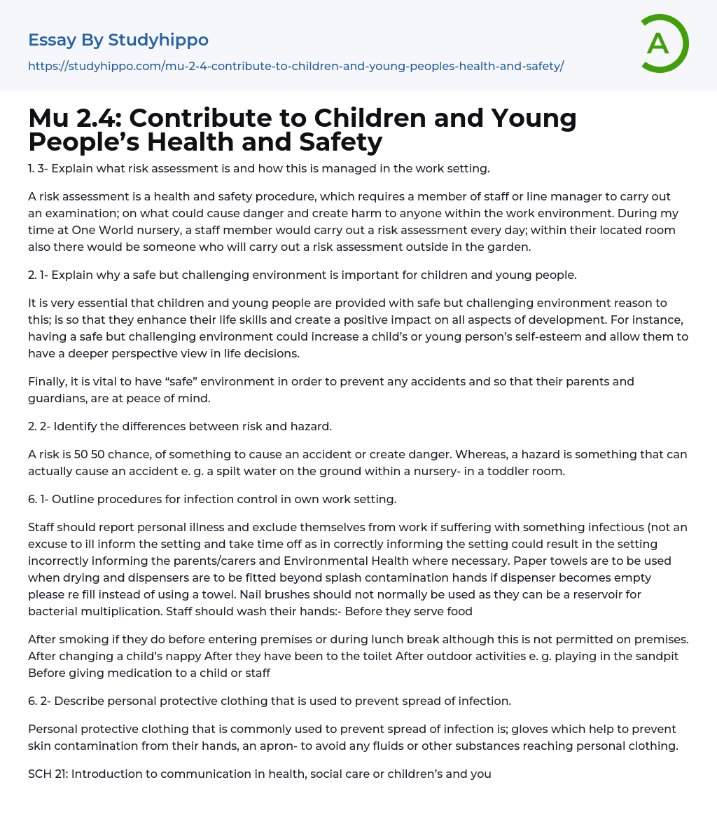 Mu 2.4: Contribute to Children and Young People’s Health and Safety Essay Example