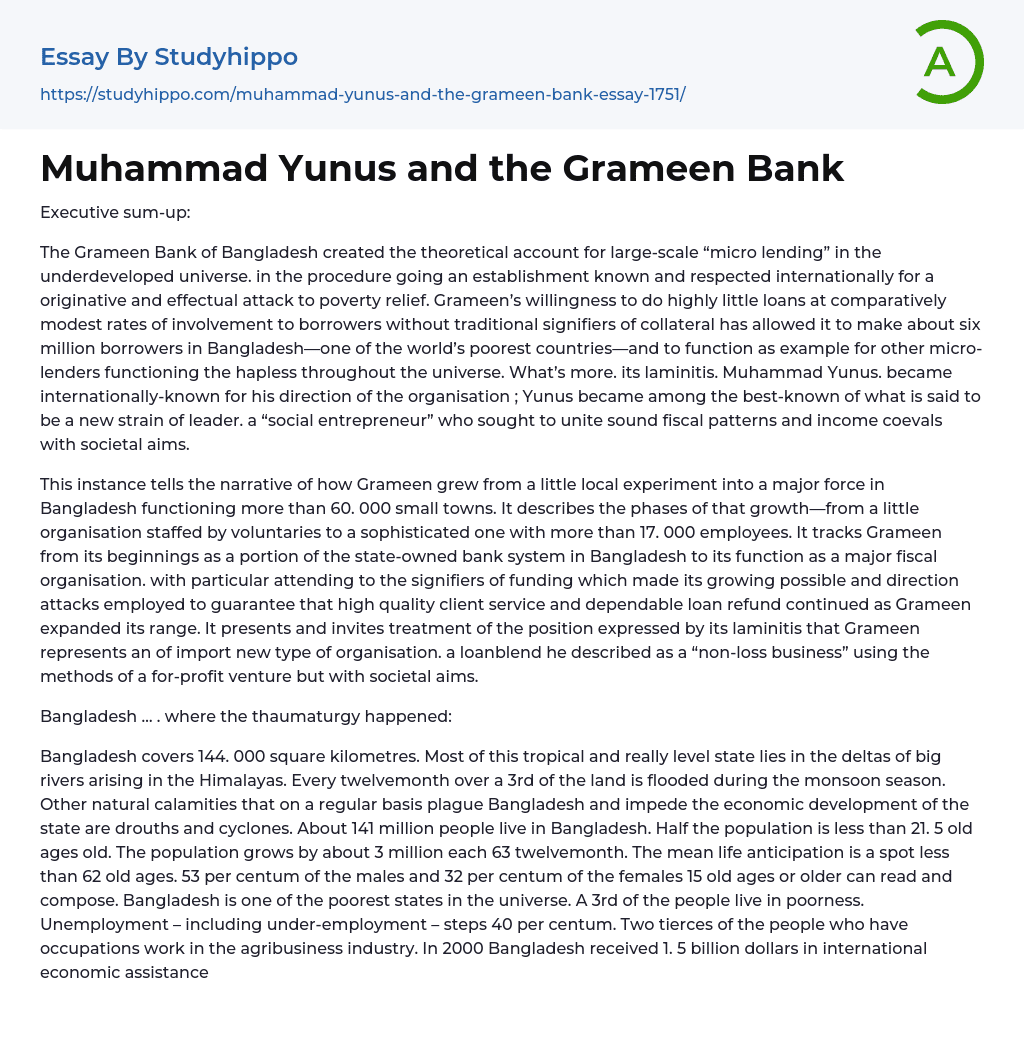 Muhammad Yunus and the Grameen Bank Essay Example