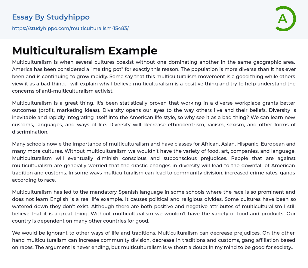 Multiculturalism Example Essay Example