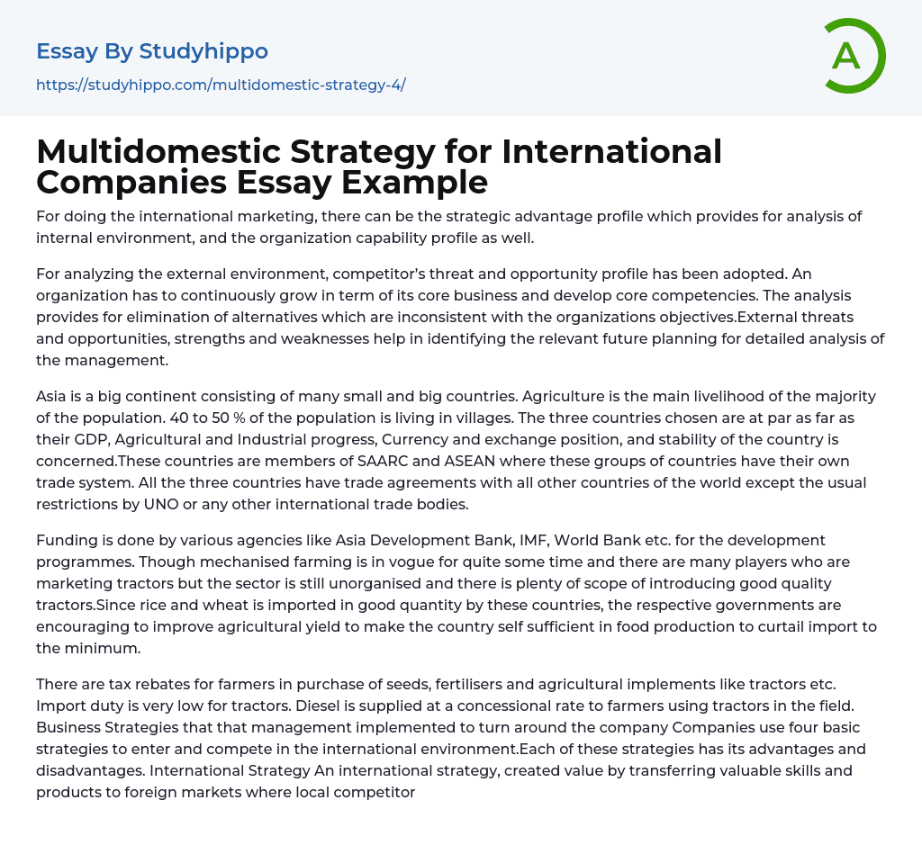 Multidomestic Strategy for International Companies Essay Example