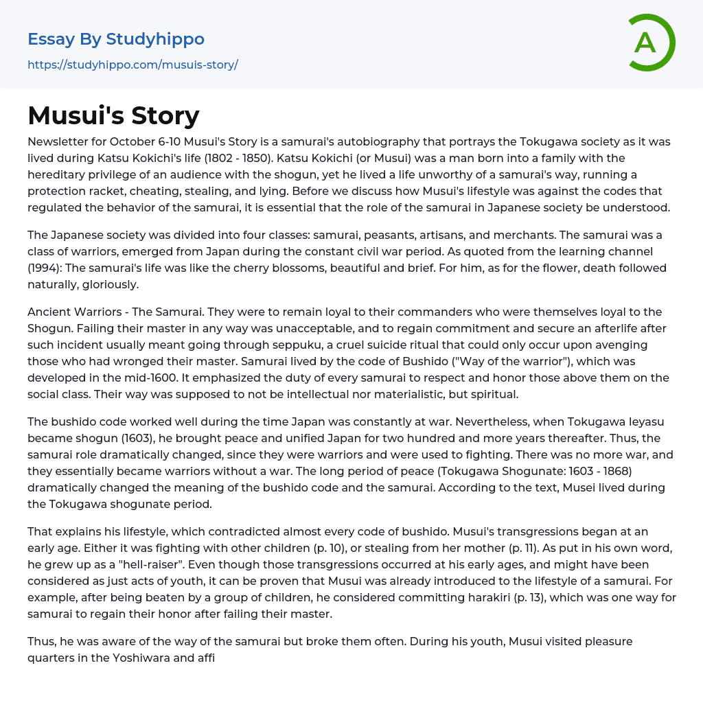 Musui’s Story Essay Example