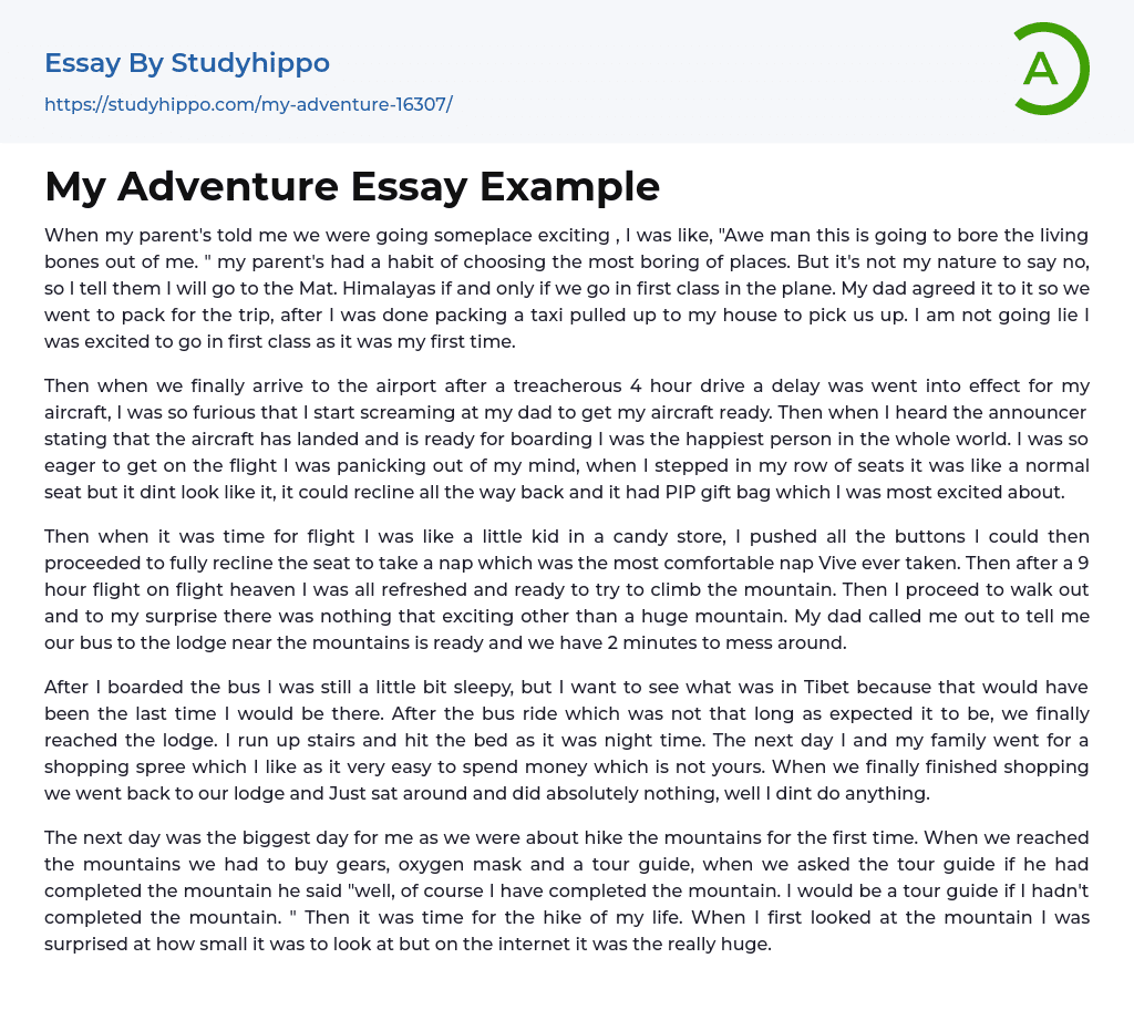 My Adventure Essay Example