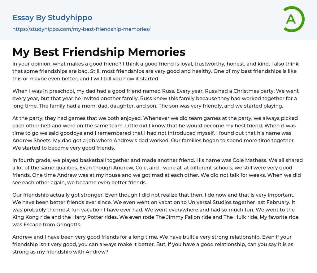 My Best Friendship Memories Essay Example