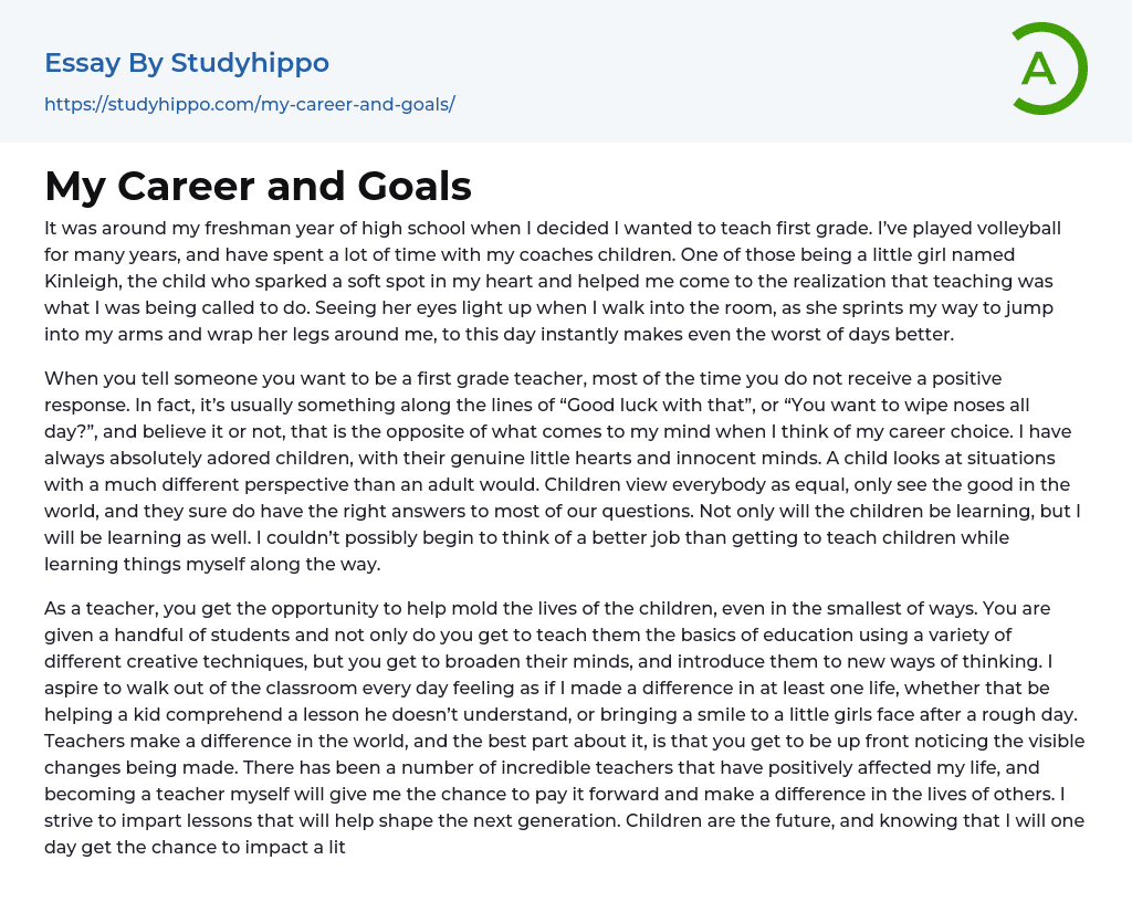 My Career and Goals Essay Example