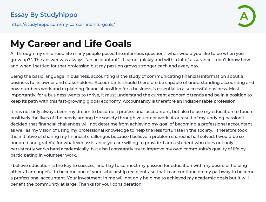 My Career and Life Goals Essay Example