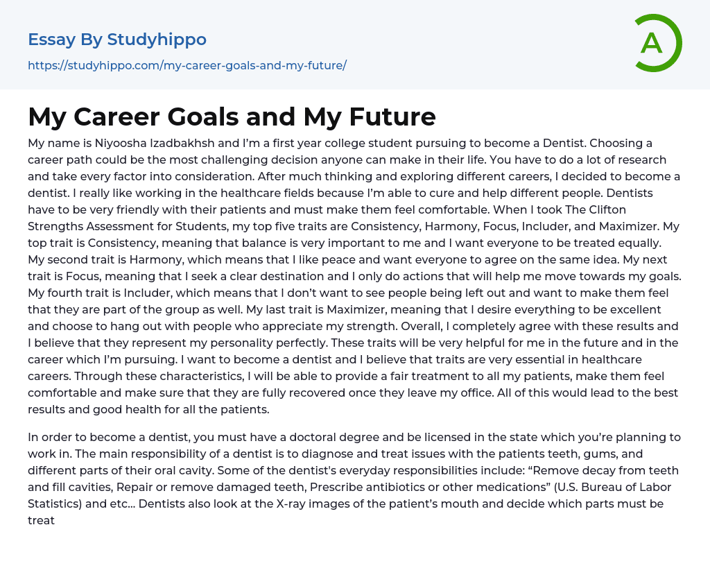 My Career Goals and My Future Essay Example