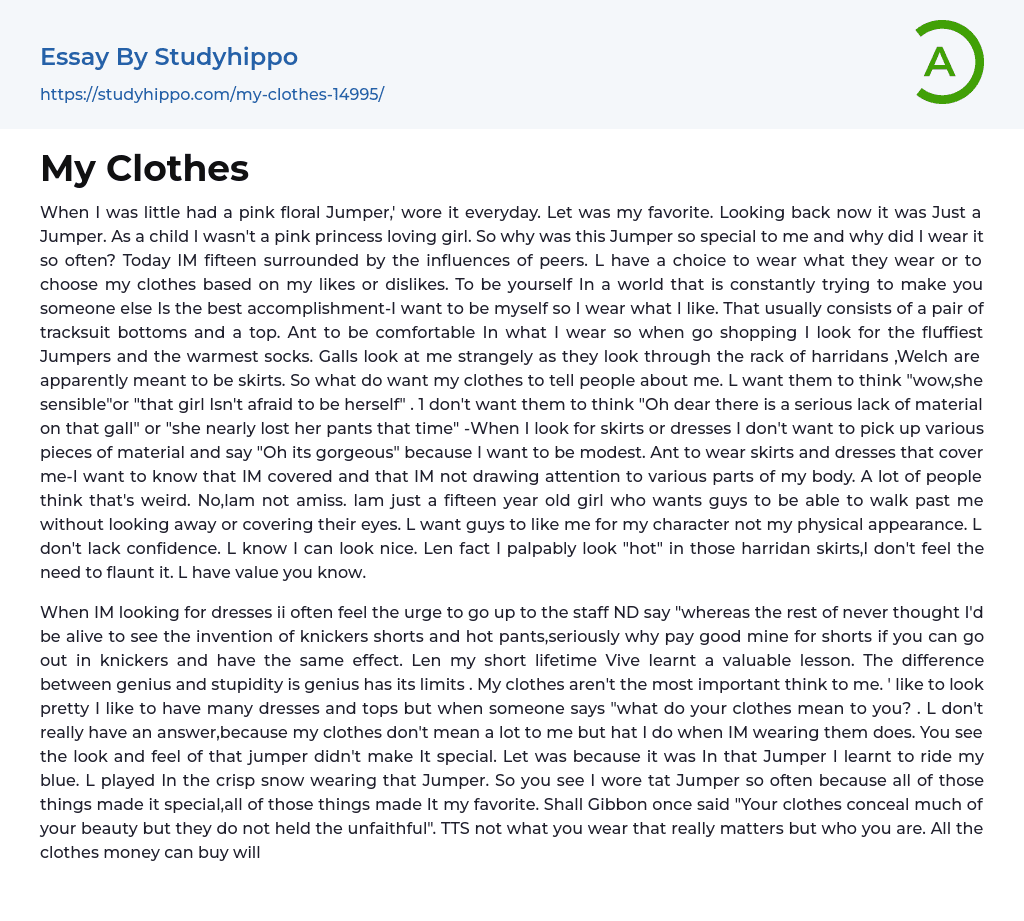 My Clothes Essay Example