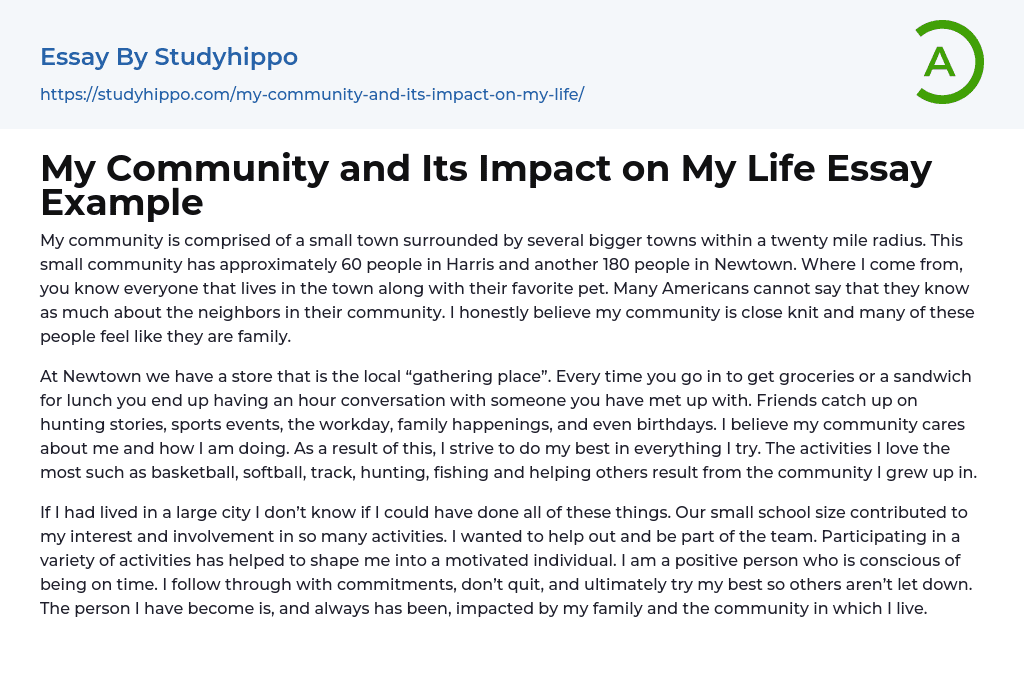 My Community and Its Impact on My Life Essay Example