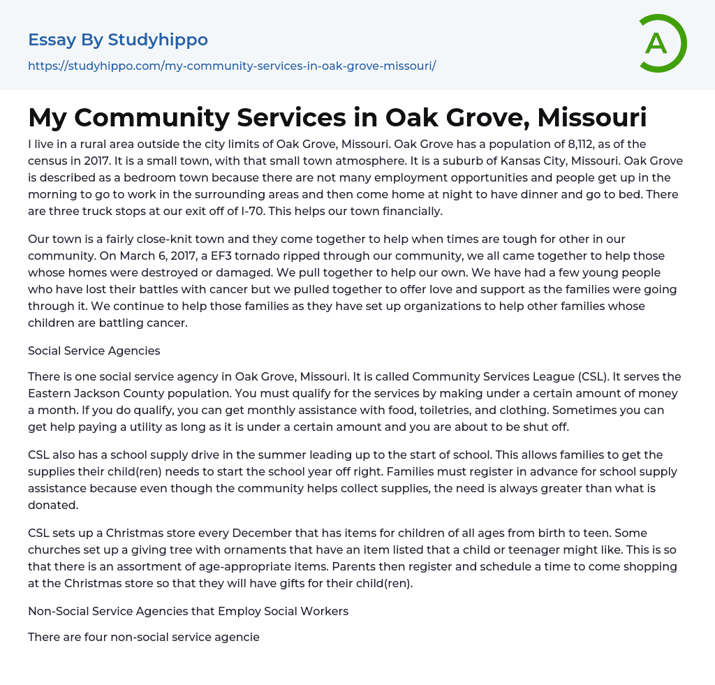 My Community Services in Oak Grove, Missouri Essay Example