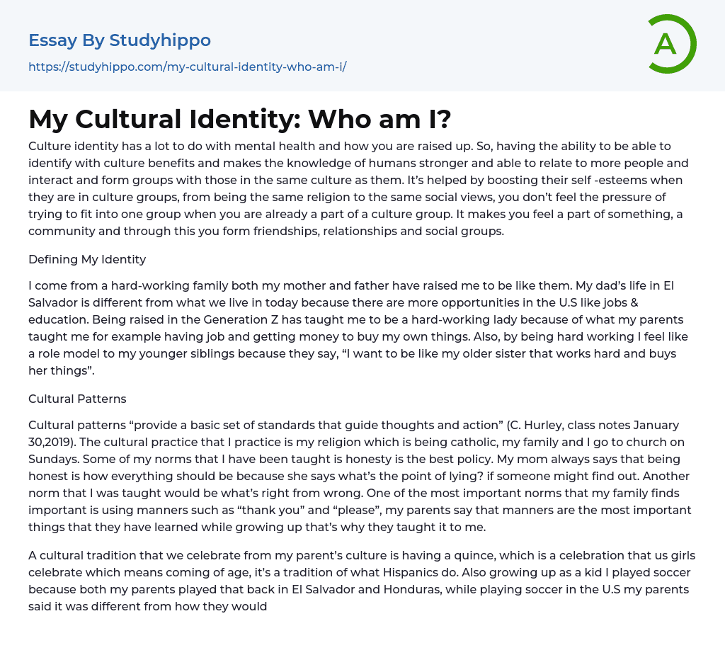 My Cultural Identity: Who am I? Essay Example