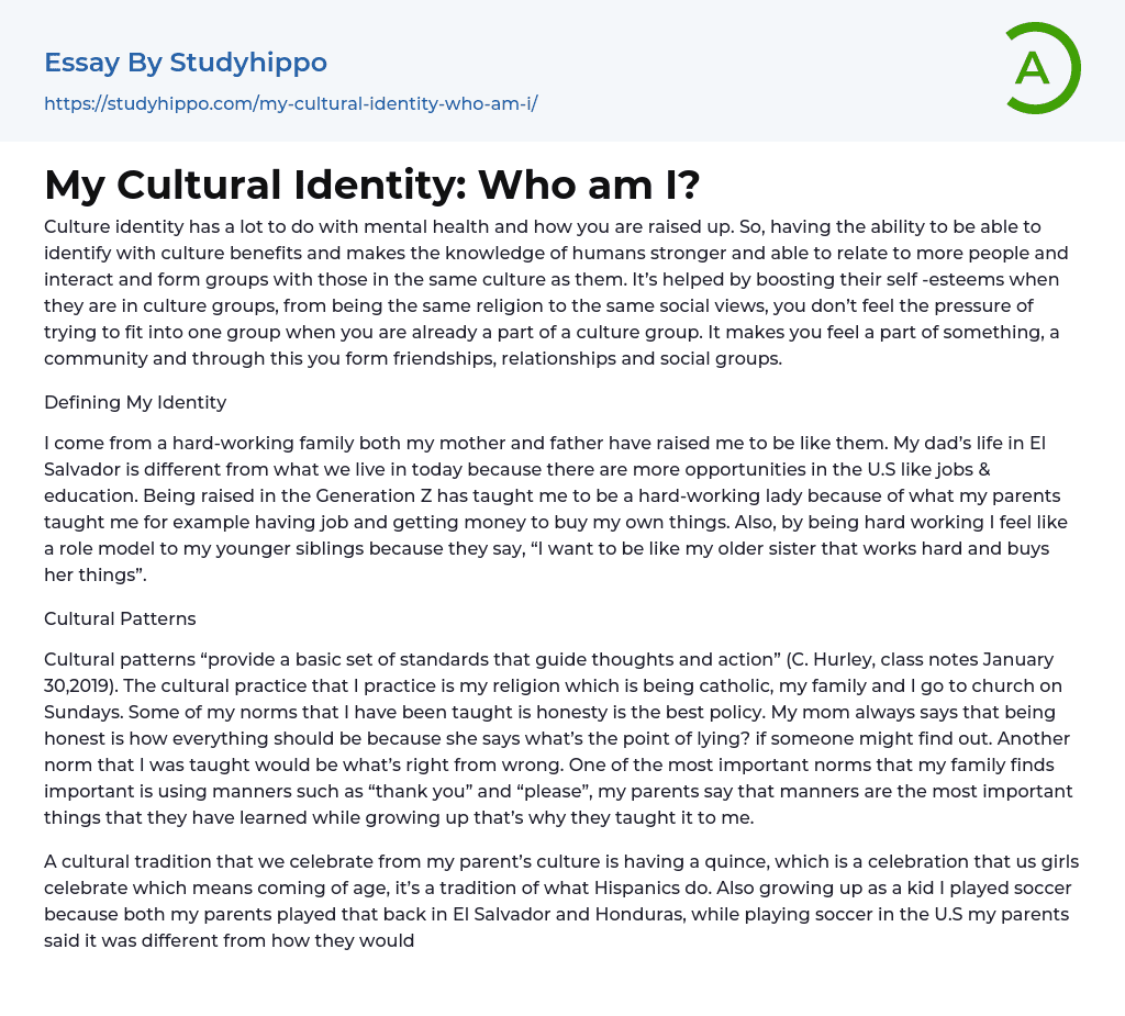 My Cultural Identity Who Am I Essay Example StudyHippo